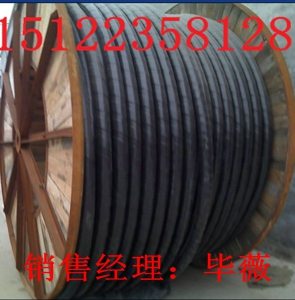 供應(yīng)NH-KGGRP2硅橡膠電纜（價(jià)格/報(bào)價(jià)）【廠家直銷】