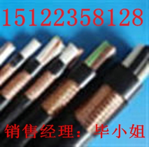 供應防爆電纜-本安防爆電纜/ia/K2YV-防爆電纜-本安防爆電纜