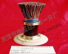 ＜MKVVP22電纜＞國標(biāo) 品牌 電纜 廠家100℅價(jià)格合理