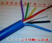 計算機(jī)屏蔽電纜 山西計算機(jī)電纜經(jīng)銷