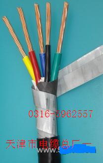 麥克風線(咪線)RVVP2×0.2  (80編)屏蔽