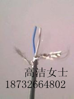 提供齊全-RVS/2*0.3阻燃雙絞線(xiàn)的價(jià)格/報(bào)價(jià)