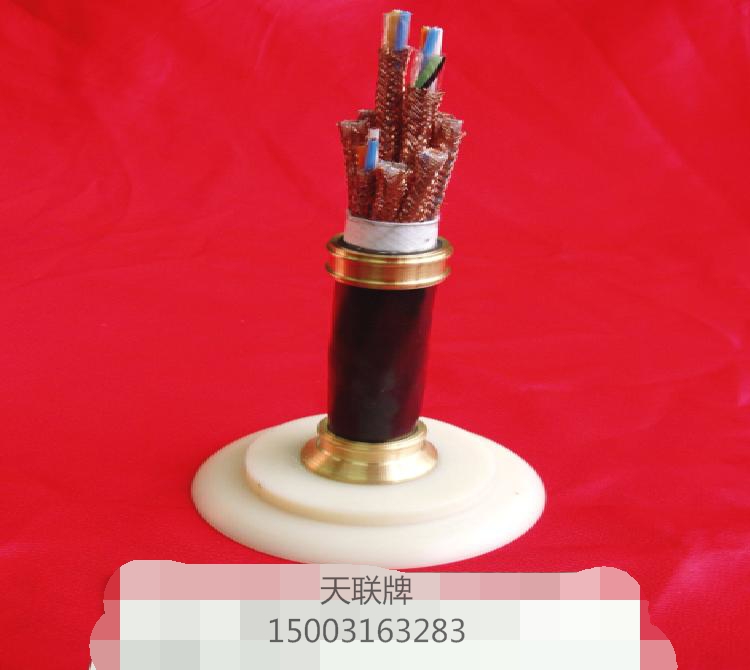 廣西計(jì)算機(jī)電纜ZRC-DJVPVPR8×2×1.5