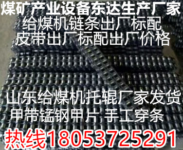給煤機GLD傳動鏈條，山東礦安鏈條出廠標(biāo)配