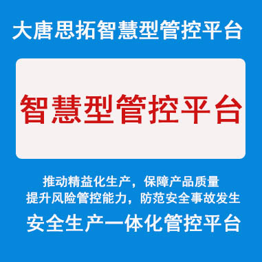 供應(yīng)大唐思拓安全生產(chǎn)管控平臺  構(gòu)建本質(zhì)安全管理