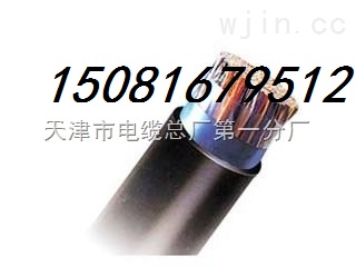 供應屏蔽套控制電纜KVVP價格直流電纜