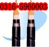 天津MKYJV32礦用控制電纜，煤礦控制電纜價格，天津阻燃控制電纜
