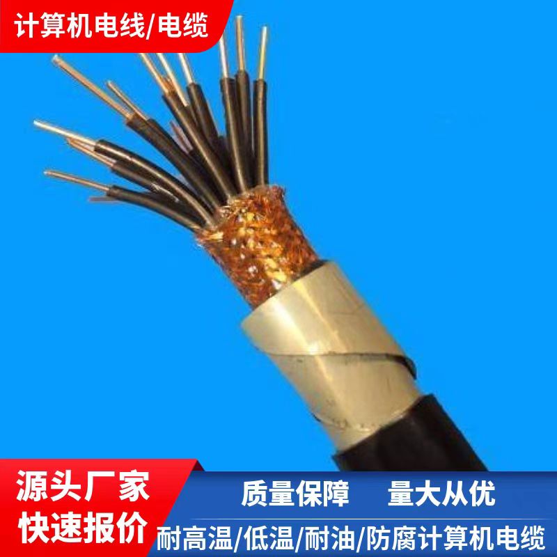 天聯(lián)MHYBVP電纜-61芯