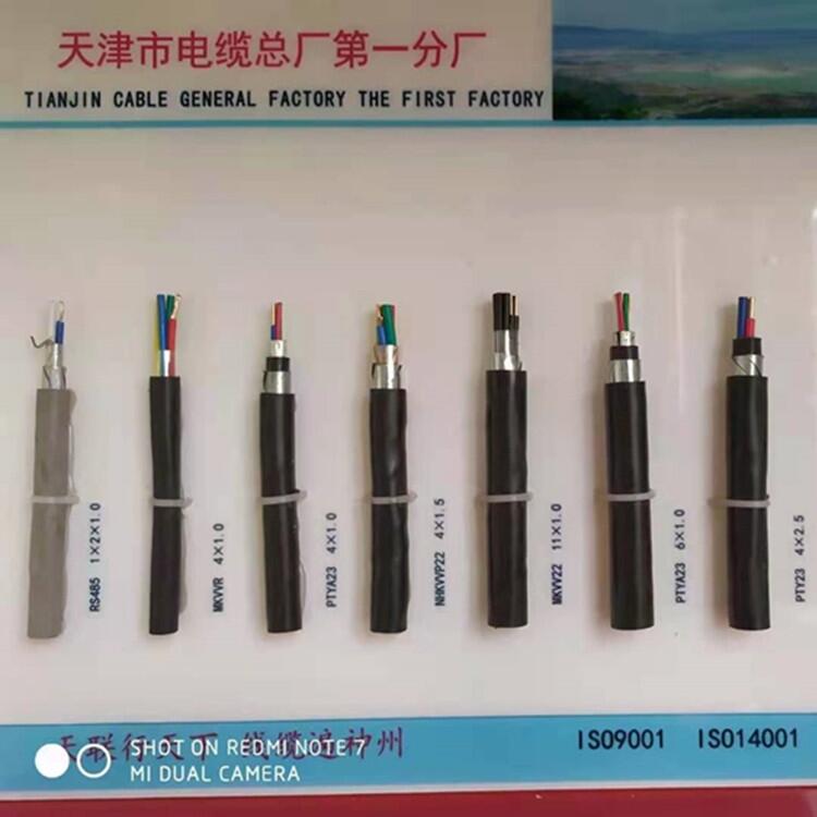 澳門大對數(shù)通信電纜10X2X0.5貨源充足
