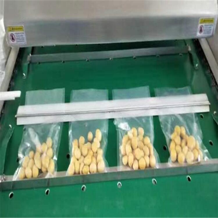 浙江魚片魚肉滾動(dòng)包裝機(jī) 面筋抽真空封口機(jī)廠家供應(yīng)