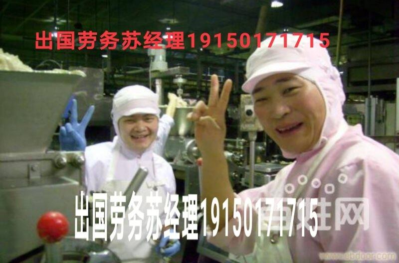 出國打工雇主直招保簽合法務(wù)工
