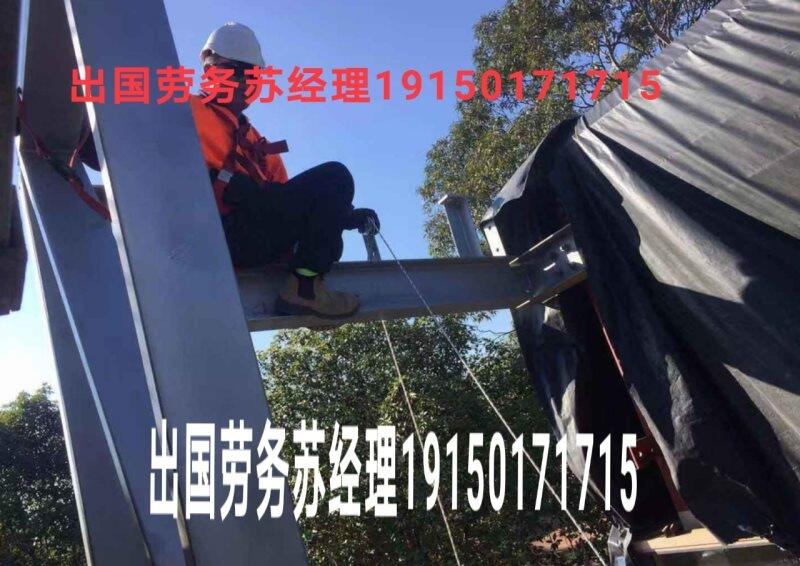 境外就業(yè)男女不限發(fā)達(dá)國家工資高