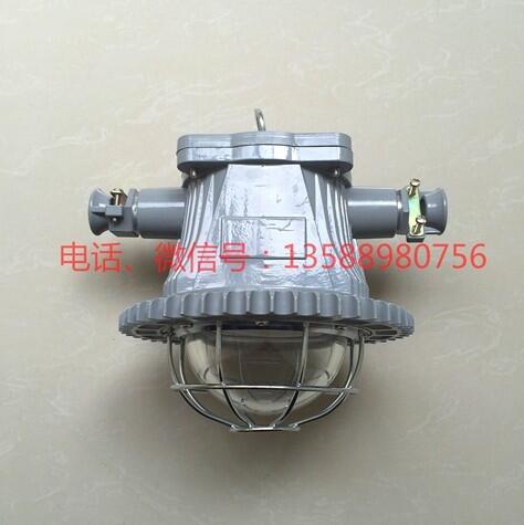 DGS30/127L(A)礦用LED巷道燈30W隔爆型照明燈