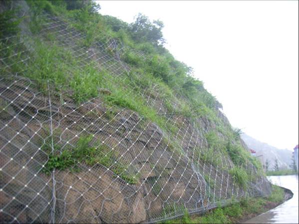 雅安主動防護網(wǎng)