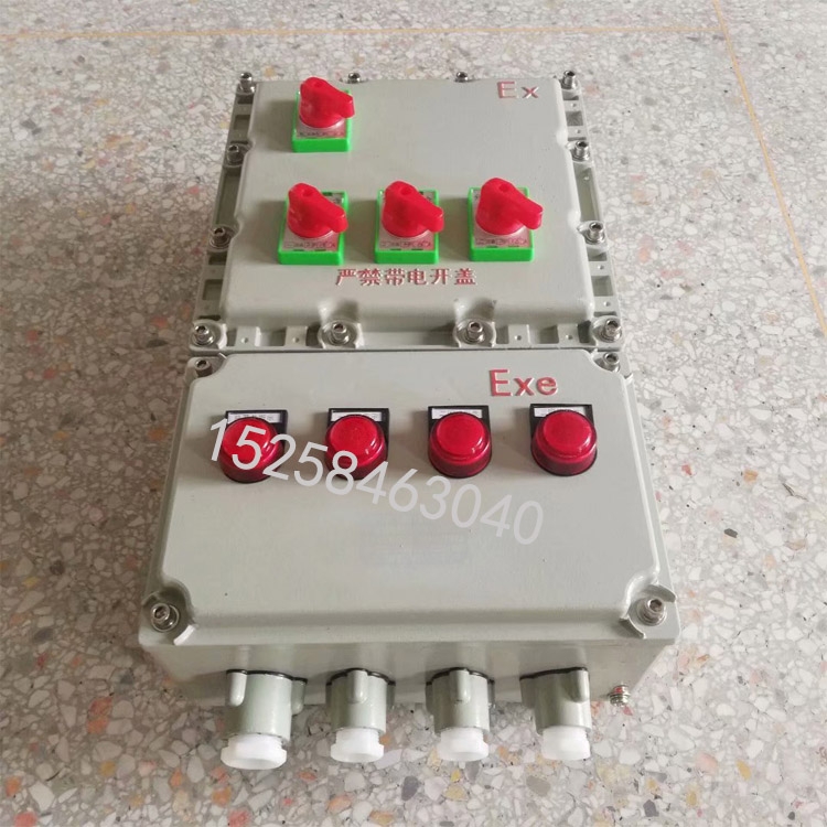 BXM(D)51防爆照明動力配電箱 接線箱 IIBT6控制開關(guān)電源箱
