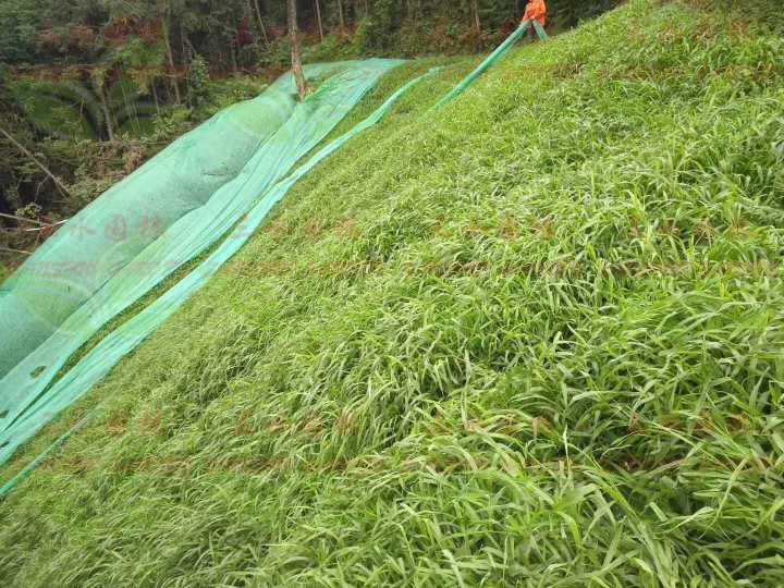 臨夏銀川專業(yè)承接邊坡復綠礦山復綠等施工