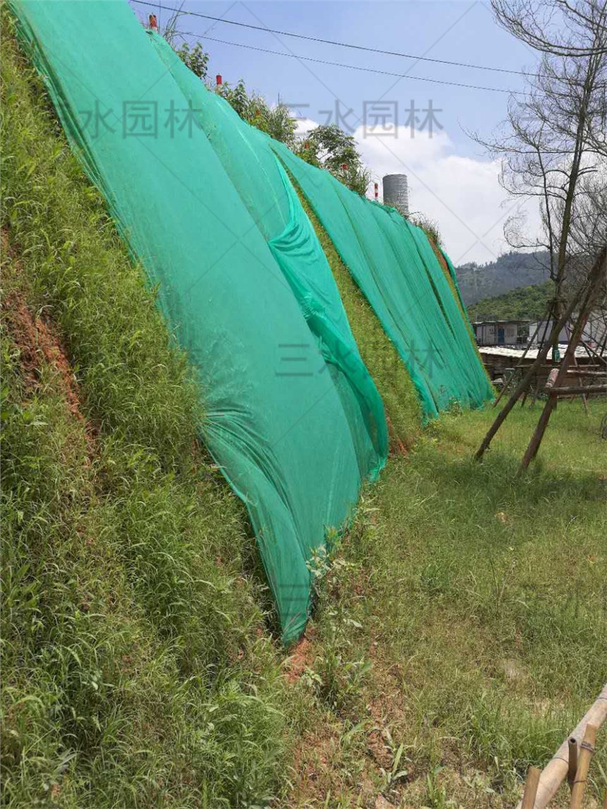 臨夏銀川哪里種草籽后蓋的布賣?