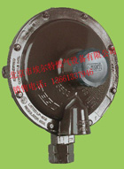 美國RegO力高LV5503B4/LV5503B6液化石油氣調壓器