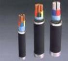 礦用阻燃電力電纜MVV MVV電纜，MVV22電力電纜