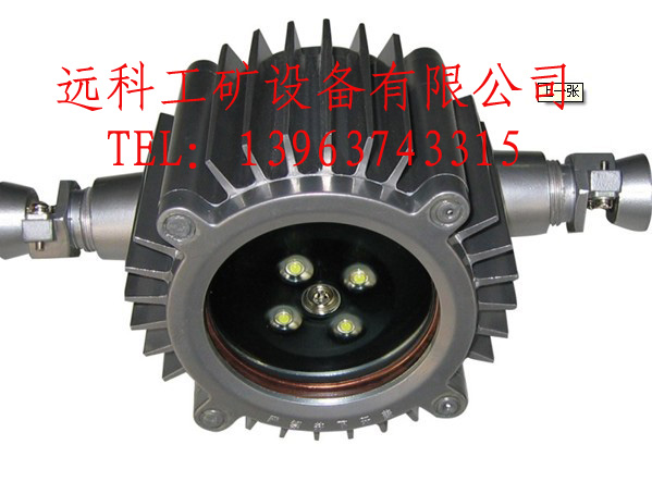 廠家直供，低價(jià)保質(zhì)，DGS18/127礦用防爆冷光源巷道燈