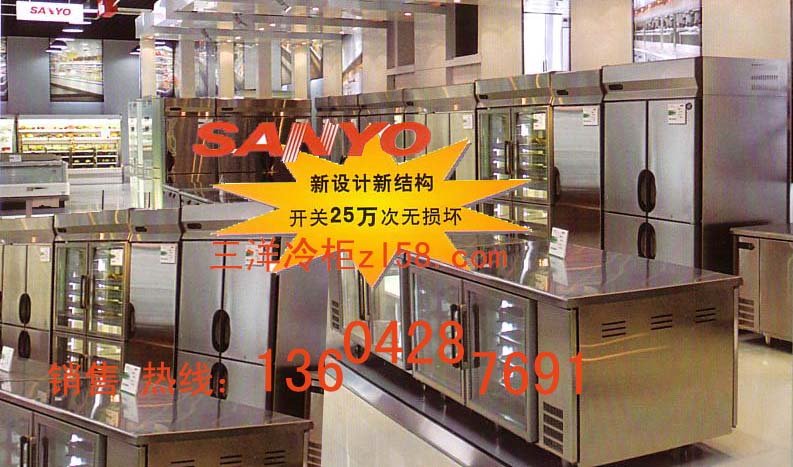 三洋冷柜2011新品