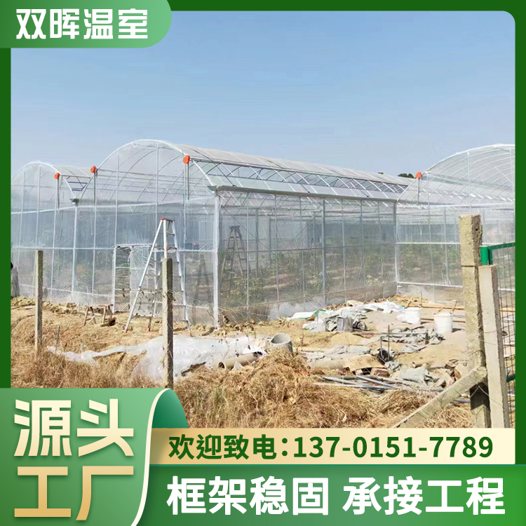 雙暉溫室溫室大棚種植觀賞連棟大棚育苗玻璃溫室結構緊湊