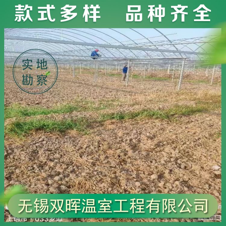 雙暉新型連棟溫室大棚薄膜拱形設(shè)計日光照射充足