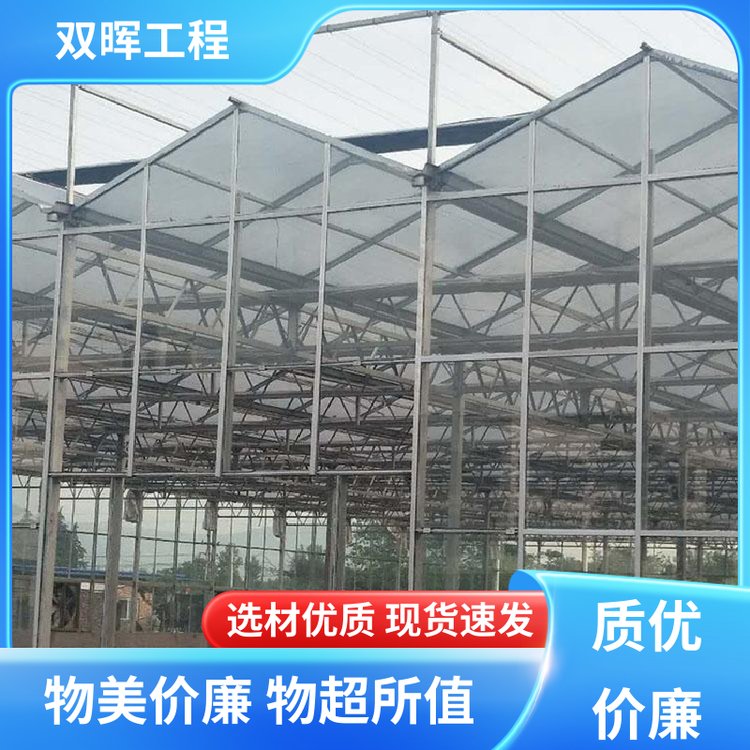 雙暉工程連棟大棚骨架采光面積大全自動化保溫性能好