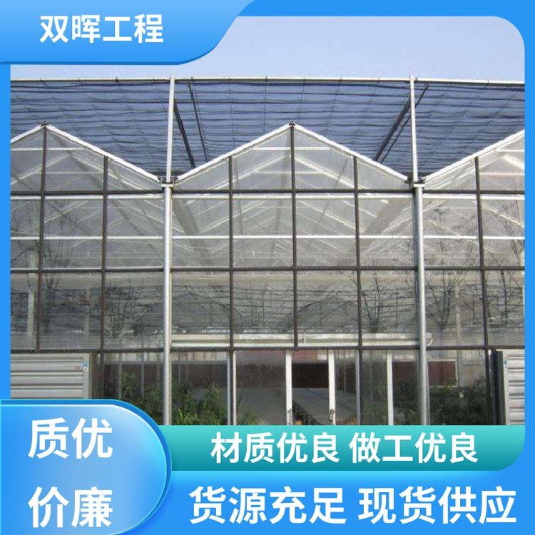 雙暉工程大型連棟溫室上門安裝方便快捷使用壽命長