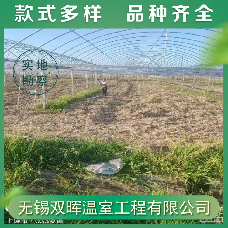 雙暉溫室蔬菜種植薄膜連棟大棚建造可實(shí)地測量設(shè)計(jì)
