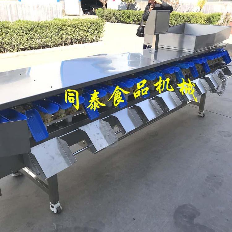 全自動(dòng)生蠔牡蠣重量分揀機(jī)