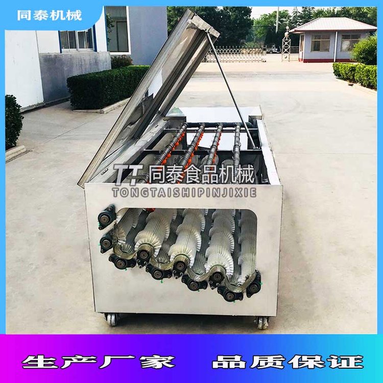 電動(dòng)蘿卜毛刷清洗機(jī)白蘿卜清洗機(jī)廠家