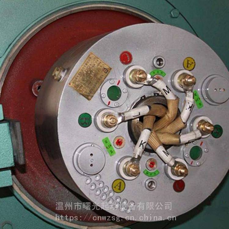 WSZK無刷液阻真空電機(jī)起動器WZR無刷軟啟動器電機(jī)廠配套